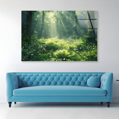 Morning in the Forest Acrylic Glass Print Tempered Glass Wall Art 100% Made in Australia Ready to Hang