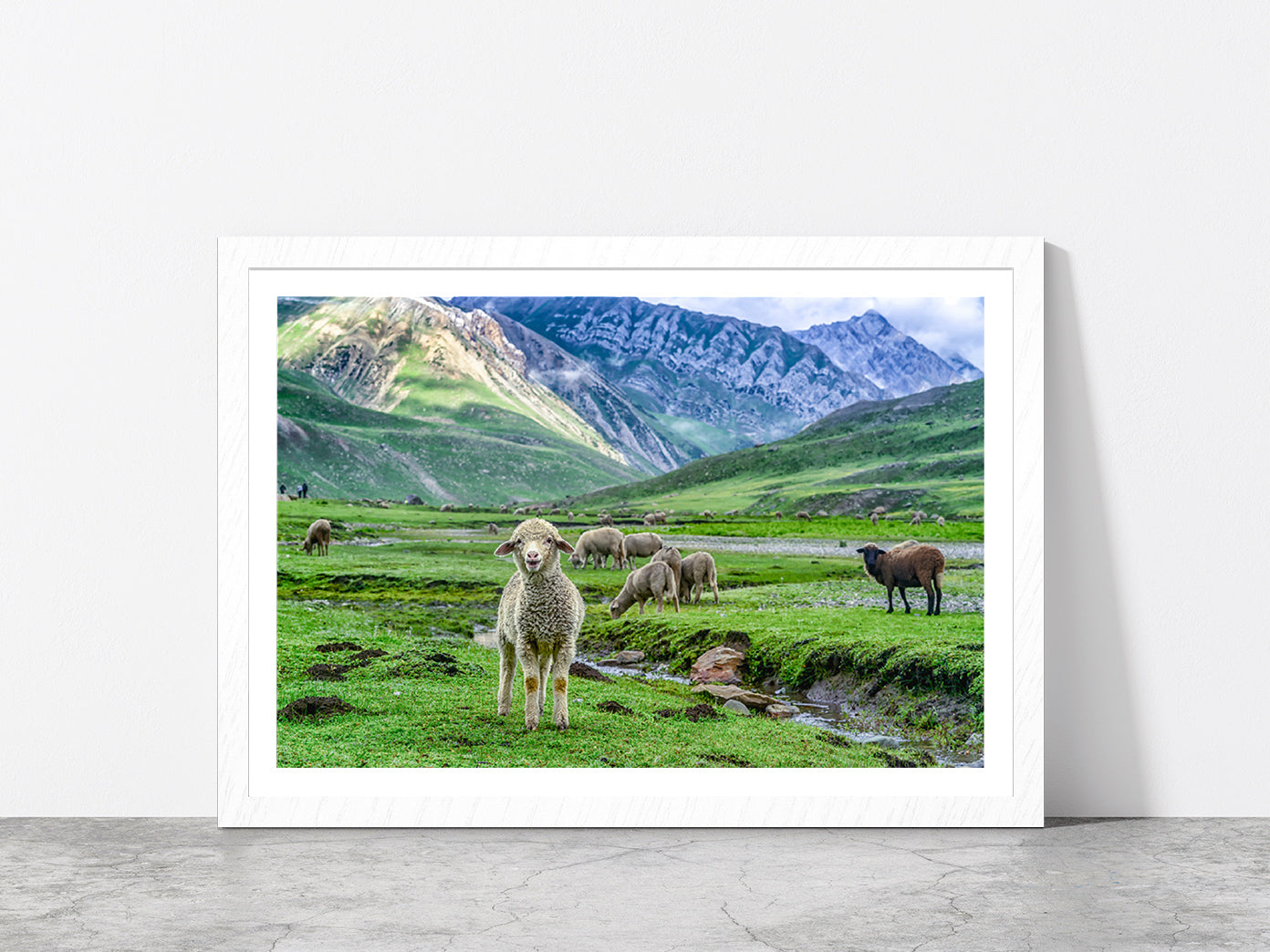 Sheep In Beautiful Mountain Glass Framed Wall Art, Ready to Hang Quality Print With White Border White