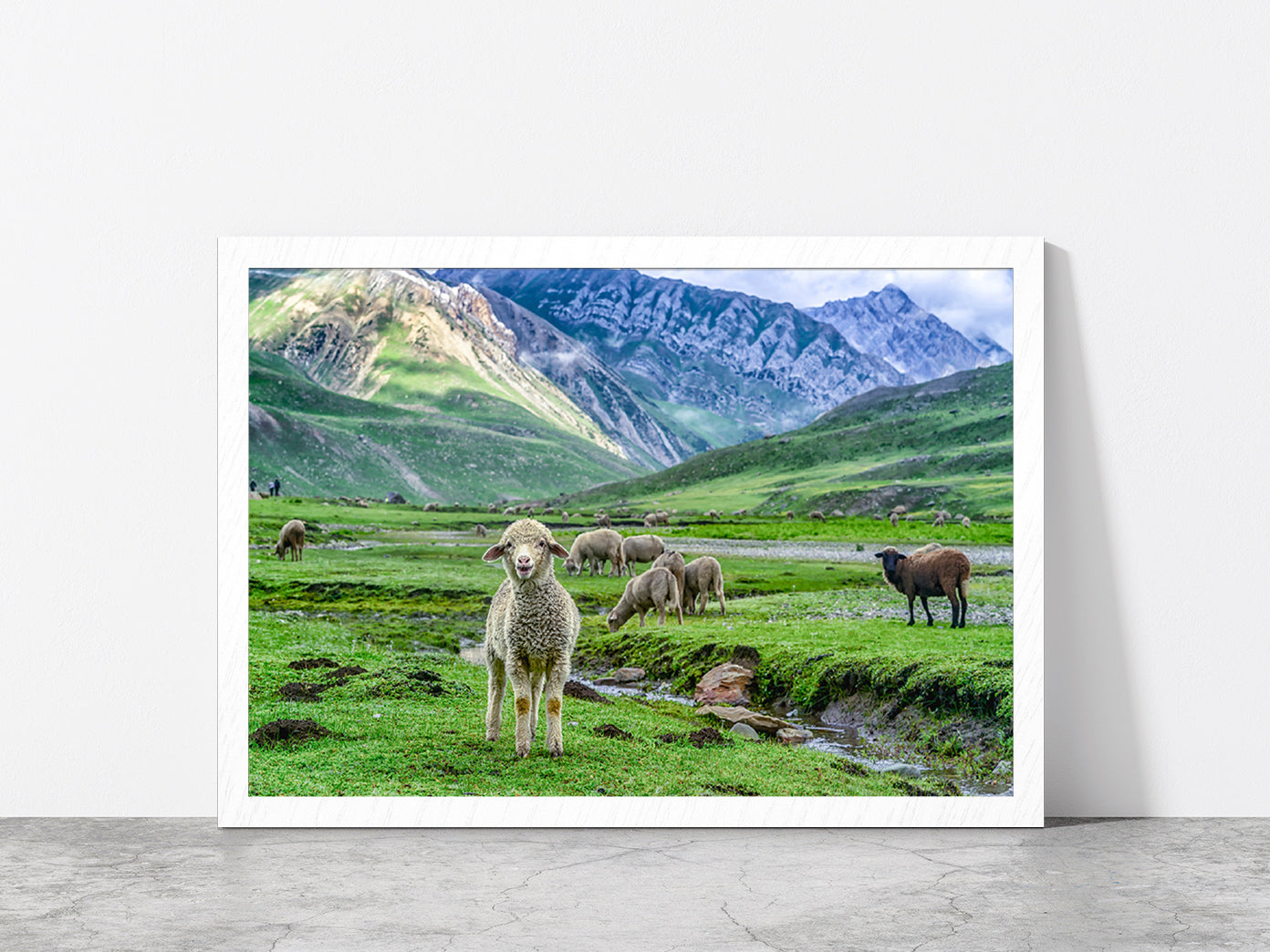 Sheep In Beautiful Mountain Glass Framed Wall Art, Ready to Hang Quality Print Without White Border White