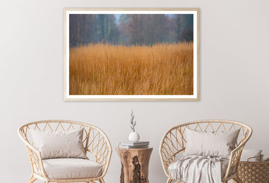 Dry Grass in the Forest in Cloudy Weather Background Home Decor Premium Quality Poster Print Choose Your Sizes