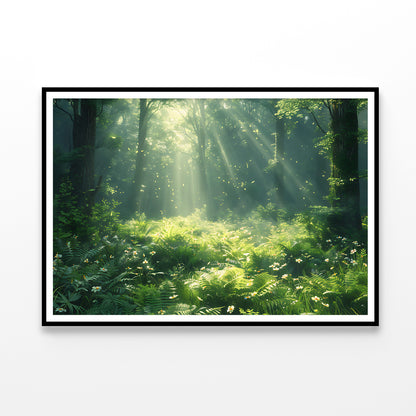 Morning in the Forest Home Decor Premium Quality Poster Print Choose Your Sizes