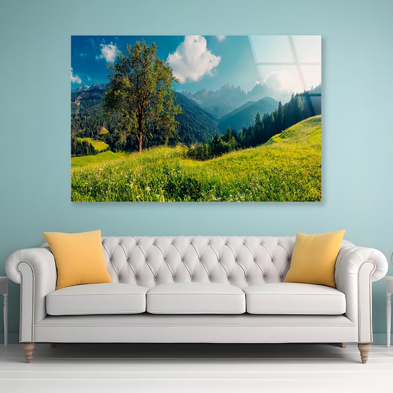 The Alps with Fresh Green Meadows with Mountains Acrylic Glass Print Tempered Glass Wall Art 100% Made in Australia Ready to Hang