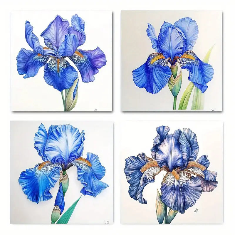4pcs Vintage Style Iris Flower Botanical  Wall Art Canvas Framed