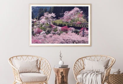 Beautiful Cherry Blossom in Japan Home Decor Premium Quality Poster Print Choose Your Sizes