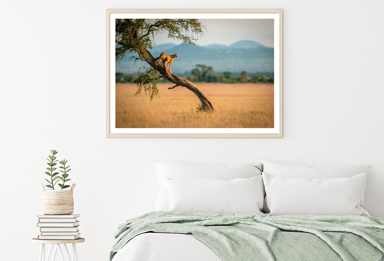 Cheetah Stands On Twisted Tree in Grassland Home Decor Premium Quality Poster Print Choose Your Sizes