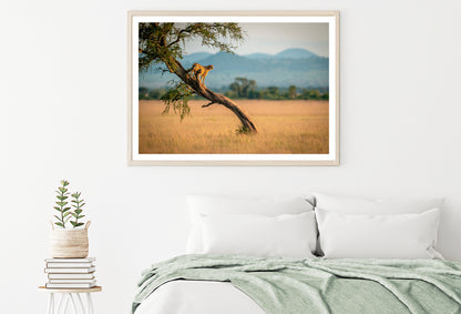 Cheetah Stands On Twisted Tree in Grassland Home Decor Premium Quality Poster Print Choose Your Sizes