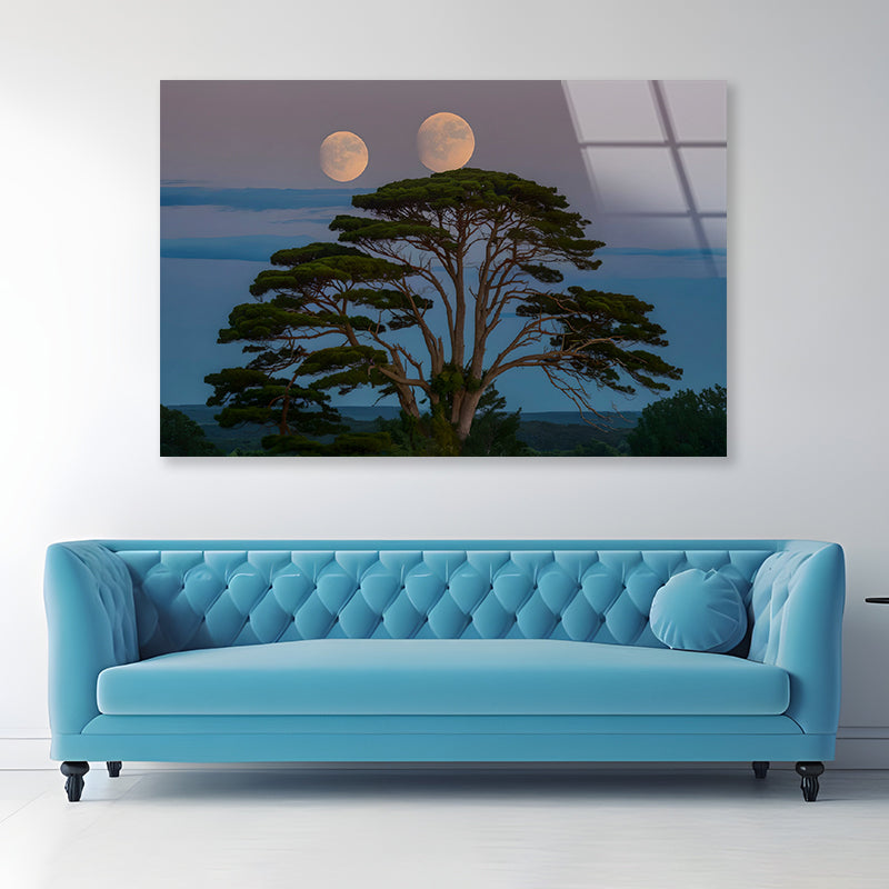 A Tree with the Moon in the Background Acrylic Glass Print Tempered Glass Wall Art 100% Made in Australia Ready to Hang