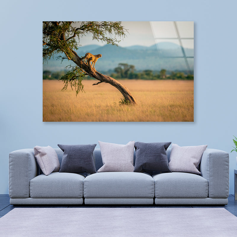 Cheetah Stands On Twisted Tree in Grassland Acrylic Glass Print Tempered Glass Wall Art 100% Made in Australia Ready to Hang