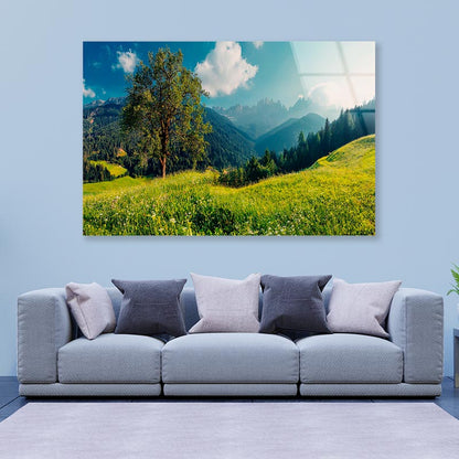 The Alps with Fresh Green Meadows with Mountains Acrylic Glass Print Tempered Glass Wall Art 100% Made in Australia Ready to Hang