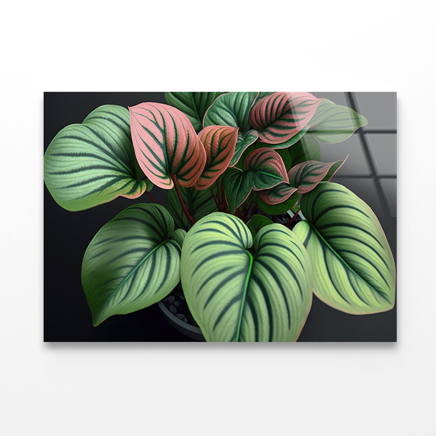 Green Orchid Flowers Pattern Acrylic Glass Print Tempered Glass Wall Art 100% Made in Australia Ready to Hang