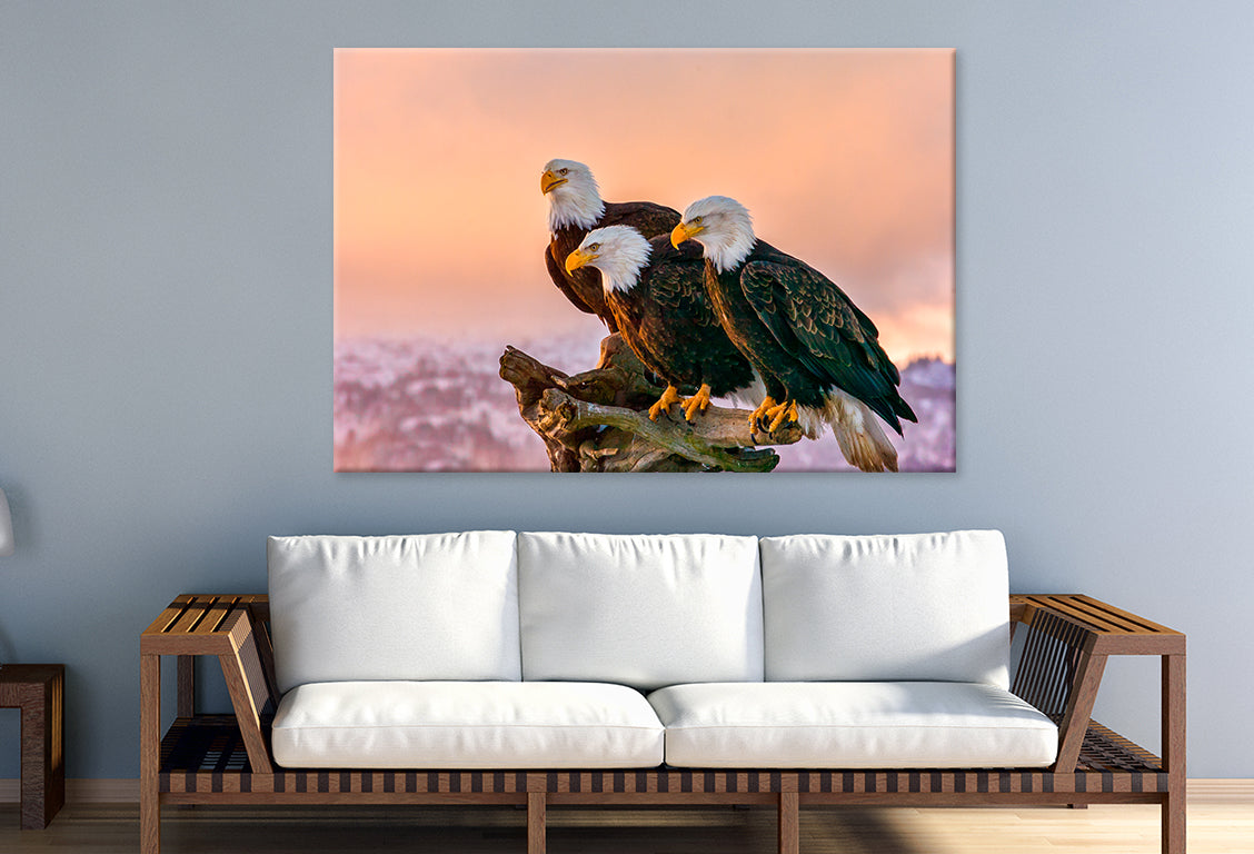 Three Eagles Tree Snag Alaska  Wall Art Decor 100% Australian Made