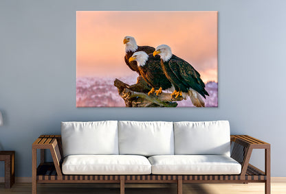 Three Eagles Tree Snag Alaska  Wall Art Decor 100% Australian Made