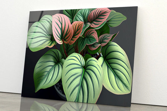 Green Orchid Flowers Pattern Acrylic Glass Print Tempered Glass Wall Art 100% Made in Australia Ready to Hang