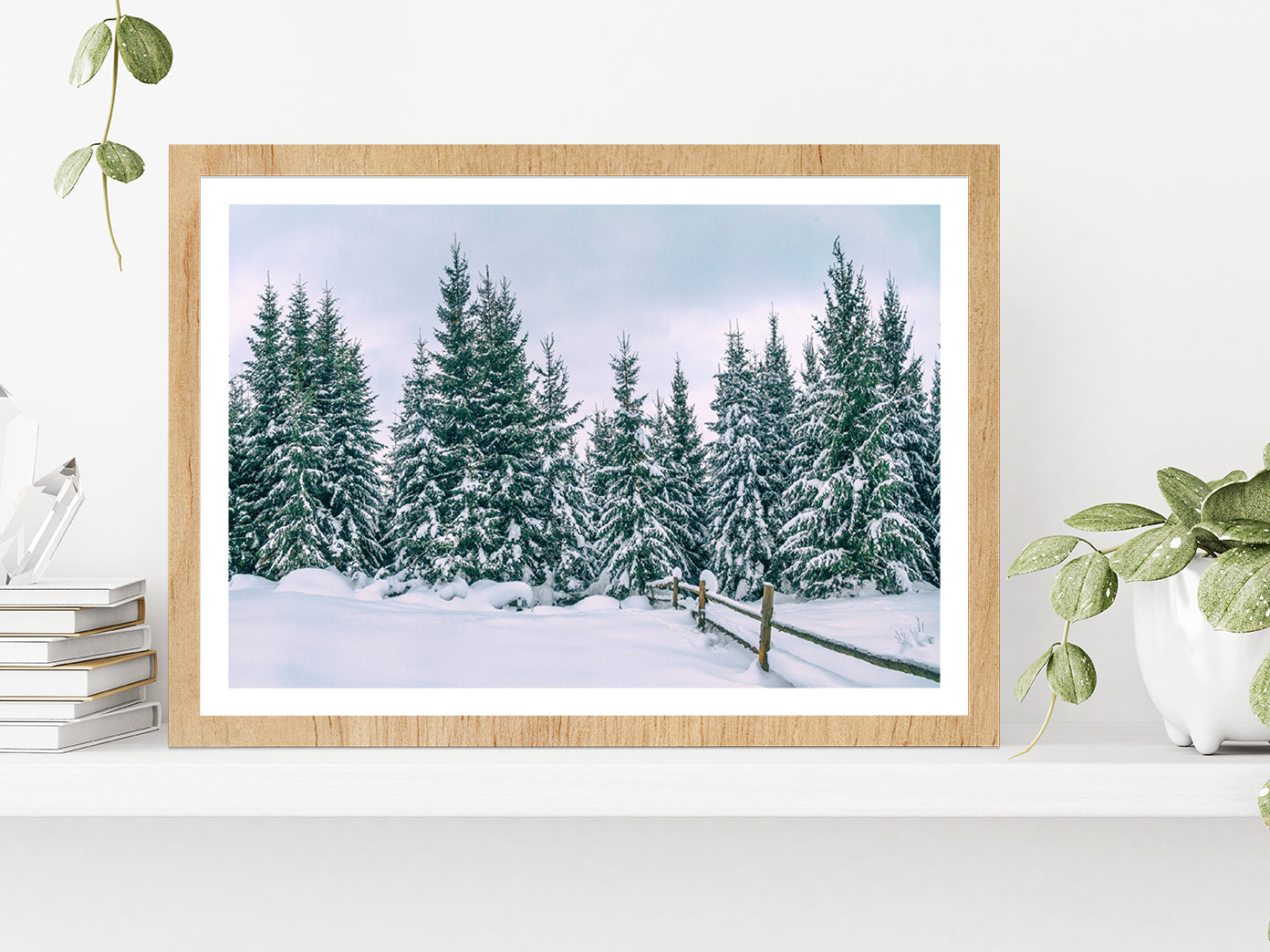 Snowy Pine Forest In The Mountain Glass Framed Wall Art, Ready to Hang Quality Print With White Border Oak