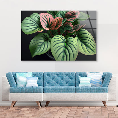 Green Orchid Flowers Pattern Acrylic Glass Print Tempered Glass Wall Art 100% Made in Australia Ready to Hang