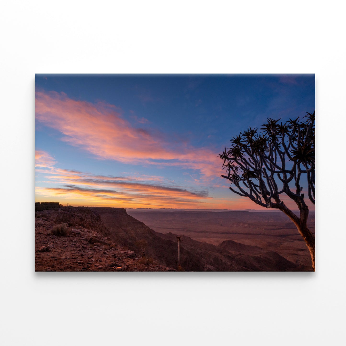 A Tree Standing On a Hill & Wonderful Sky in Namibia Print 100% Australian Made