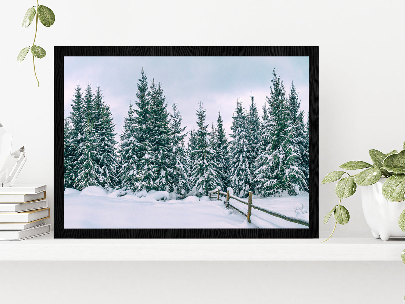 Snowy Pine Forest In The Mountain Glass Framed Wall Art, Ready to Hang Quality Print Without White Border Black