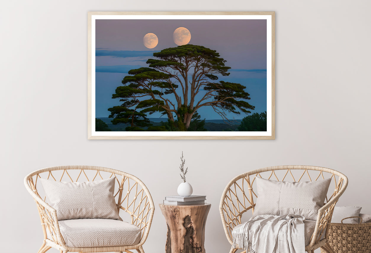 A Tree with the Moon in the Background Home Decor Premium Quality Poster Print Choose Your Sizes