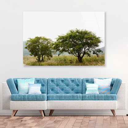 A Couple of Trees in the Grasslands under Sky Acrylic Glass Print Tempered Glass Wall Art 100% Made in Australia Ready to Hang