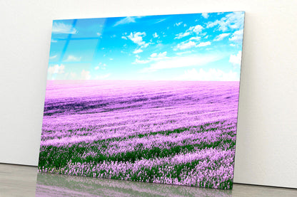 Spring Purple Flower Field Acrylic Glass Print Tempered Glass Wall Art 100% Made in Australia Ready to Hang