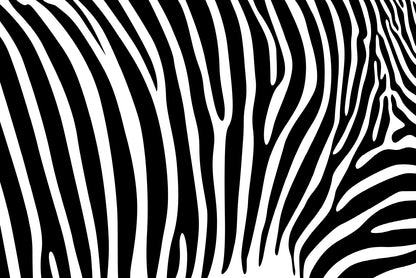 Black And White Zebra Pattern Home Decor Premium Quality Poster Print Choose Your Sizes