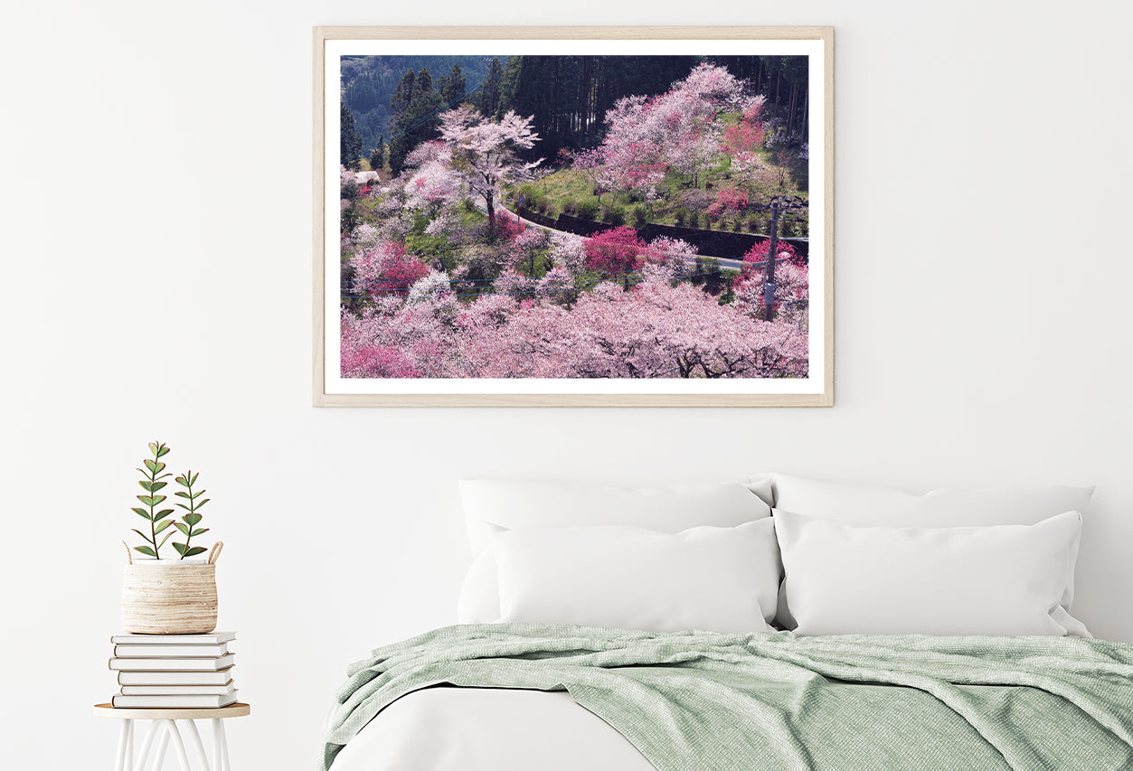 Beautiful Cherry Blossom in Japan Home Decor Premium Quality Poster Print Choose Your Sizes