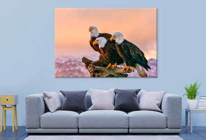 Three Eagles Tree Snag Alaska  Wall Art Decor 100% Australian Made