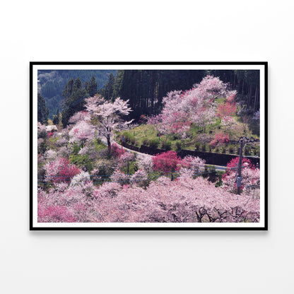 Beautiful Cherry Blossom in Japan Home Decor Premium Quality Poster Print Choose Your Sizes