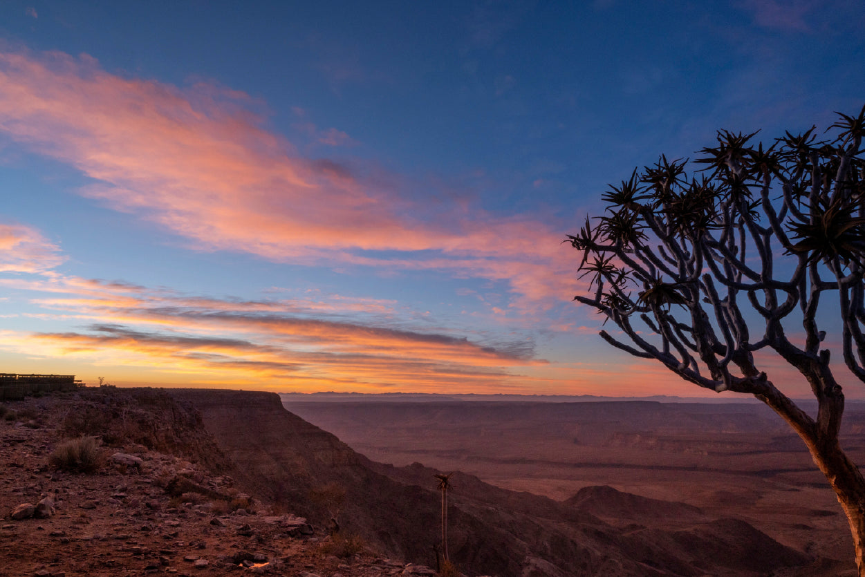 A Tree Standing On a Hill & Wonderful Sky in Namibia Print 100% Australian Made