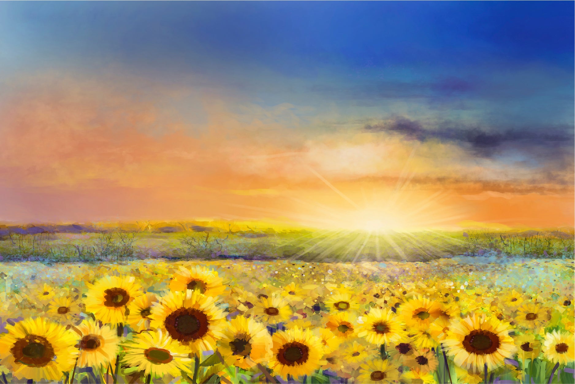 Rural Sunset Landscape With Golden Sunflower Glass Framed Wall Art, Ready to Hang Quality Print