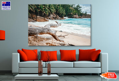 Rocks And Palm Trees Along the Shore, Seychelles Wall Art Decor 100% Australian Made