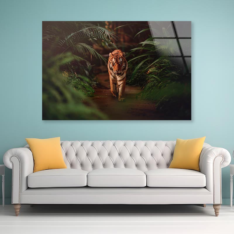 Tiger Prowling Through Dense Jungle Foliage  Acrylic Glass Print Tempered Glass Wall Art 100% Made in Australia Ready to Hang