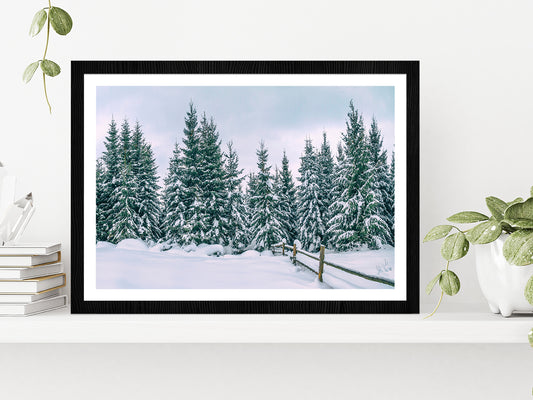 Snowy Pine Forest In The Mountain Glass Framed Wall Art, Ready to Hang Quality Print With White Border Black