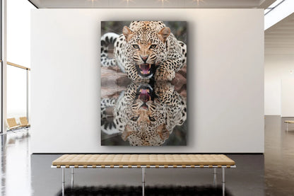 Leopard Reflect Water UV Direct Aluminum Print Australian Made Quality