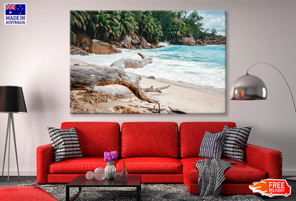 Rocks And Palm Trees Along the Shore, Seychelles Wall Art Decor 100% Australian Made