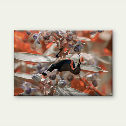 Sunbird Feeding Milkweed Flower Wall Art Decor 100% Australian Made