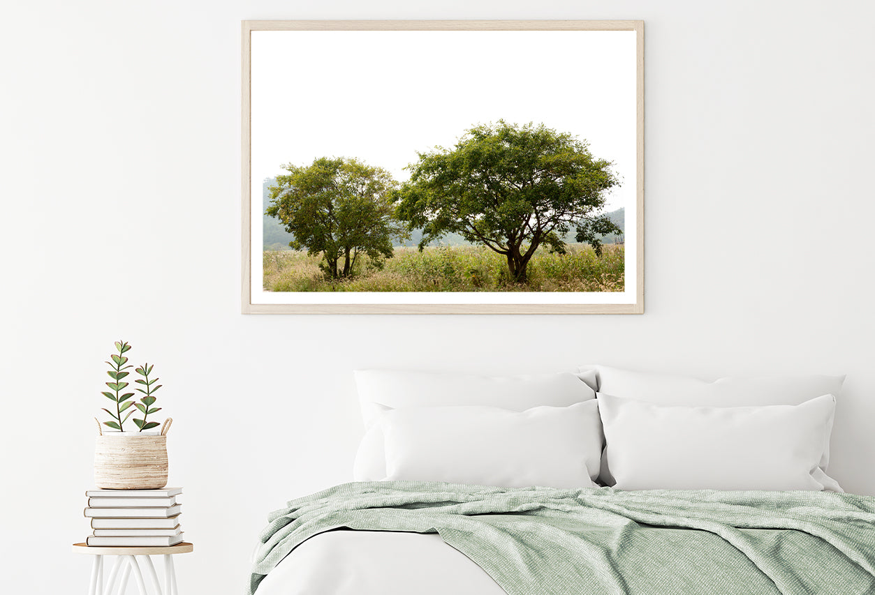 A Couple of Trees in the Grasslands under Sky Home Decor Premium Quality Poster Print Choose Your Sizes