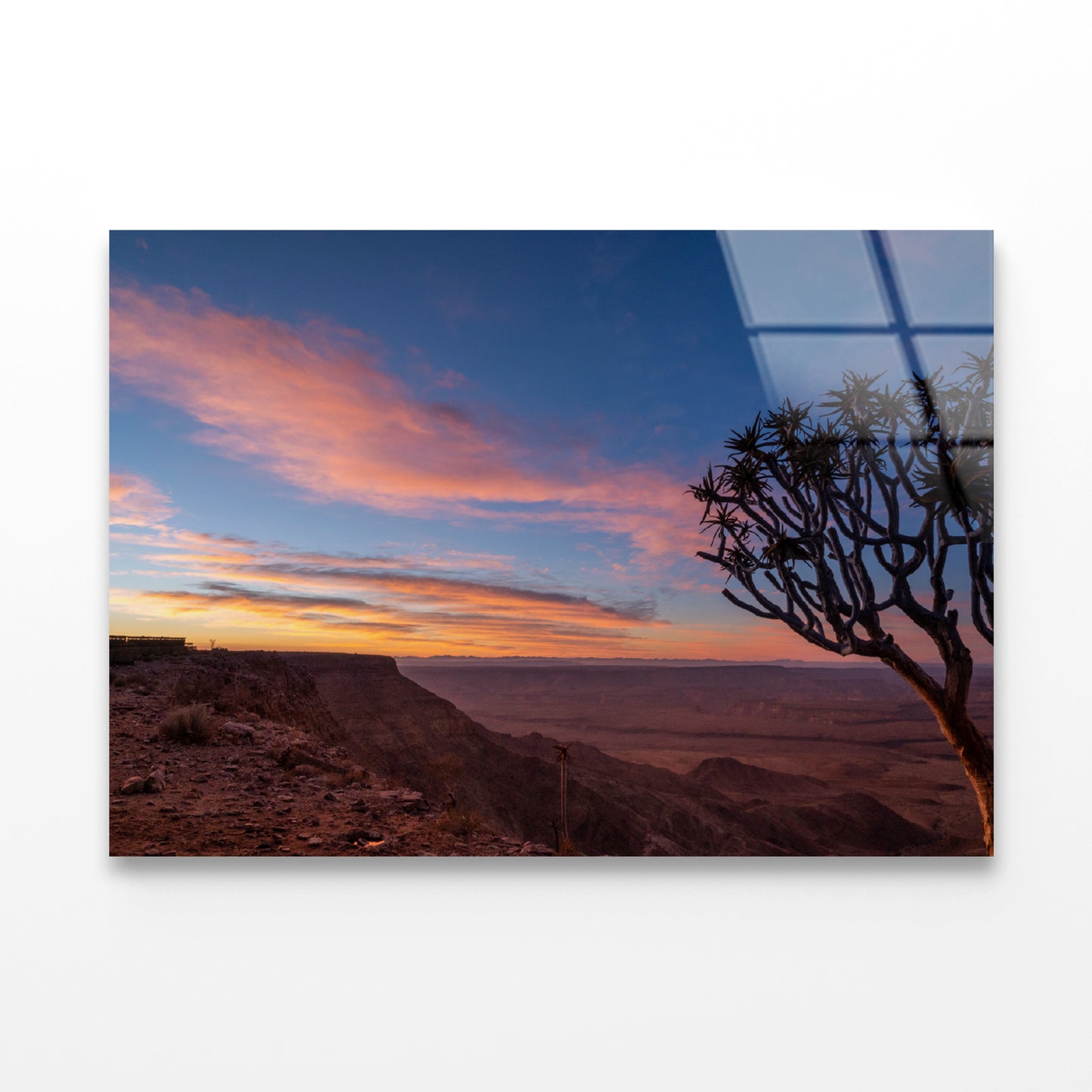 A Tree Standing On a Hill & Wonderful Sky in Namibia Acrylic Glass Print Tempered Glass Wall Art 100% Made in Australia Ready to Hang