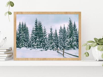 Snowy Pine Forest In The Mountain Glass Framed Wall Art, Ready to Hang Quality Print Without White Border Oak