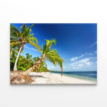 Palm Trees on Tropical Beach, DR  Wall Art Decor 100% Australian Made