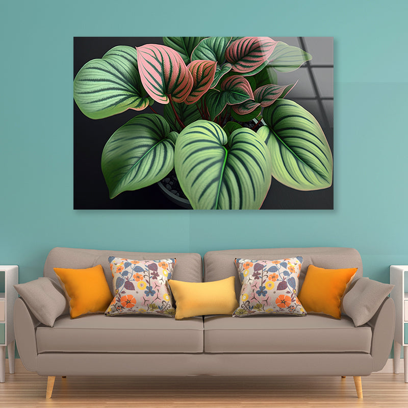 Green Orchid Flowers Pattern Acrylic Glass Print Tempered Glass Wall Art 100% Made in Australia Ready to Hang