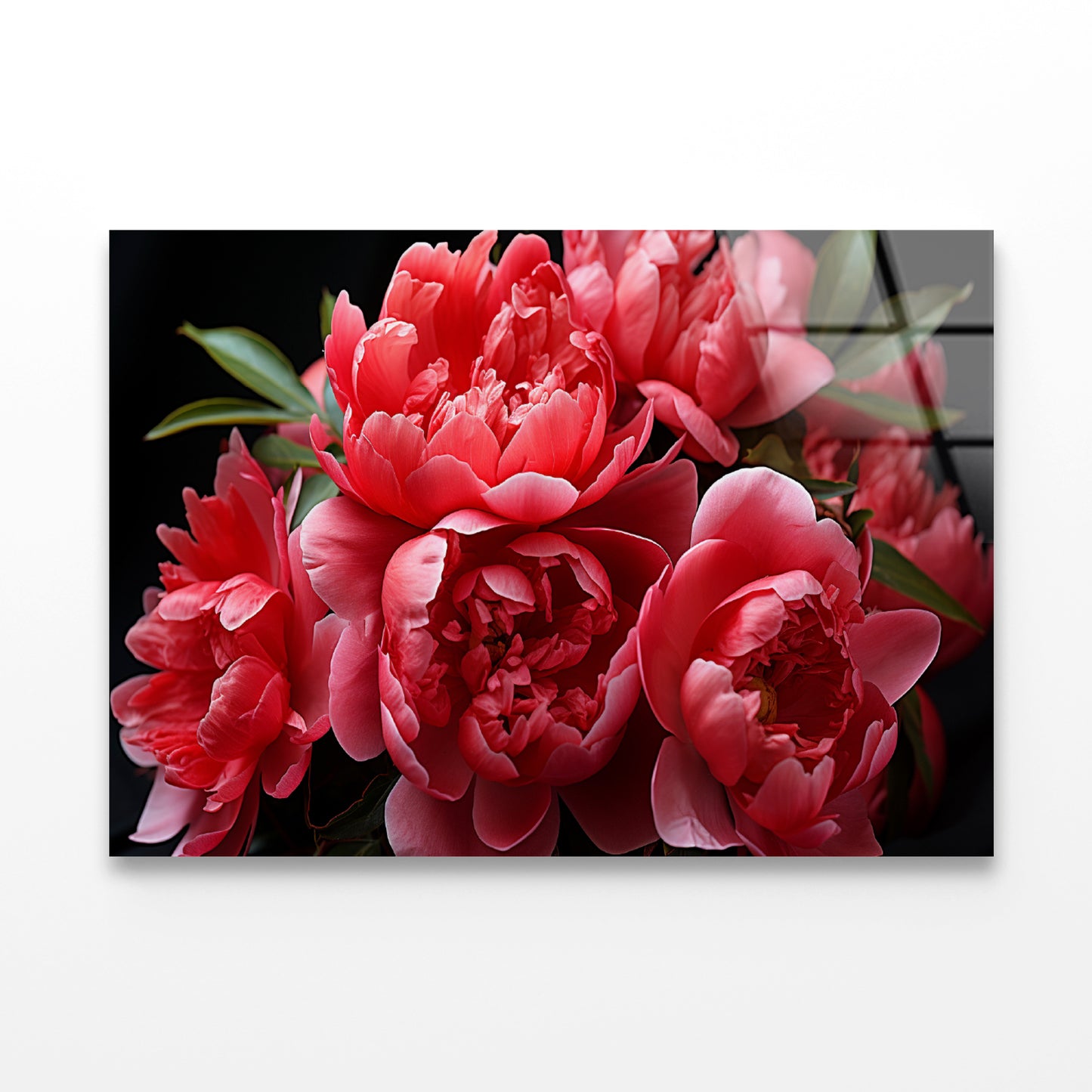 Group of Garden Roses with Leaves Acrylic Glass Print Tempered Glass Wall Art 100% Made in Australia Ready to Hang