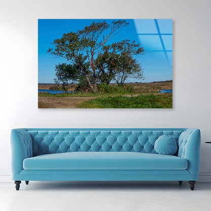 A Tree Standing In a Field on an Autumn Day Acrylic Glass Print Tempered Glass Wall Art 100% Made in Australia Ready to Hang