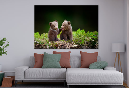 Two Brown Bear Cubs in Forest  Wall Art Decor 100% Australian Made