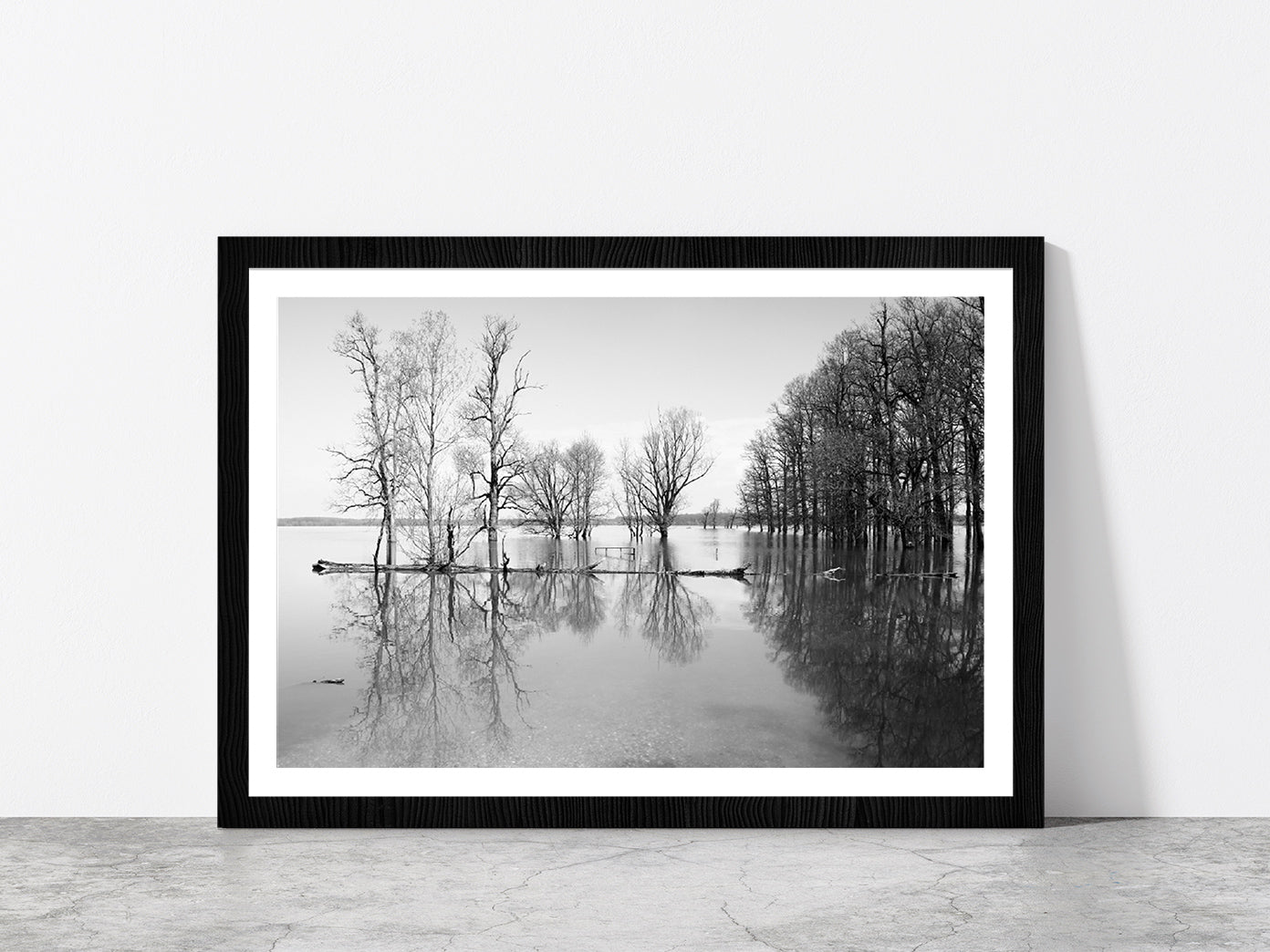 B&W Landscape Flood In Forest Glass Framed Wall Art, Ready to Hang Quality Print With White Border Black