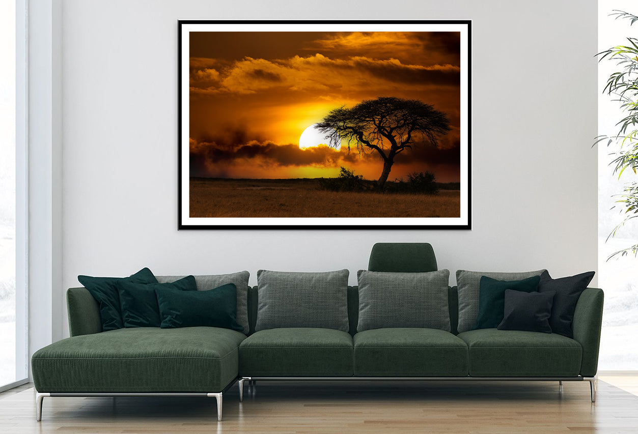 Sunset in Africa Over Acacia Tree Home Decor Premium Quality Poster Print Choose Your Sizes