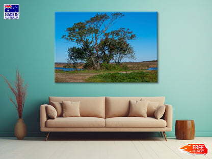 A Tree Standing In a Field on an Autumn Day Print 100% Australian Made