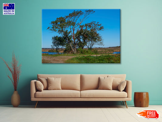 A Tree Standing In a Field on an Autumn Day Print 100% Australian Made