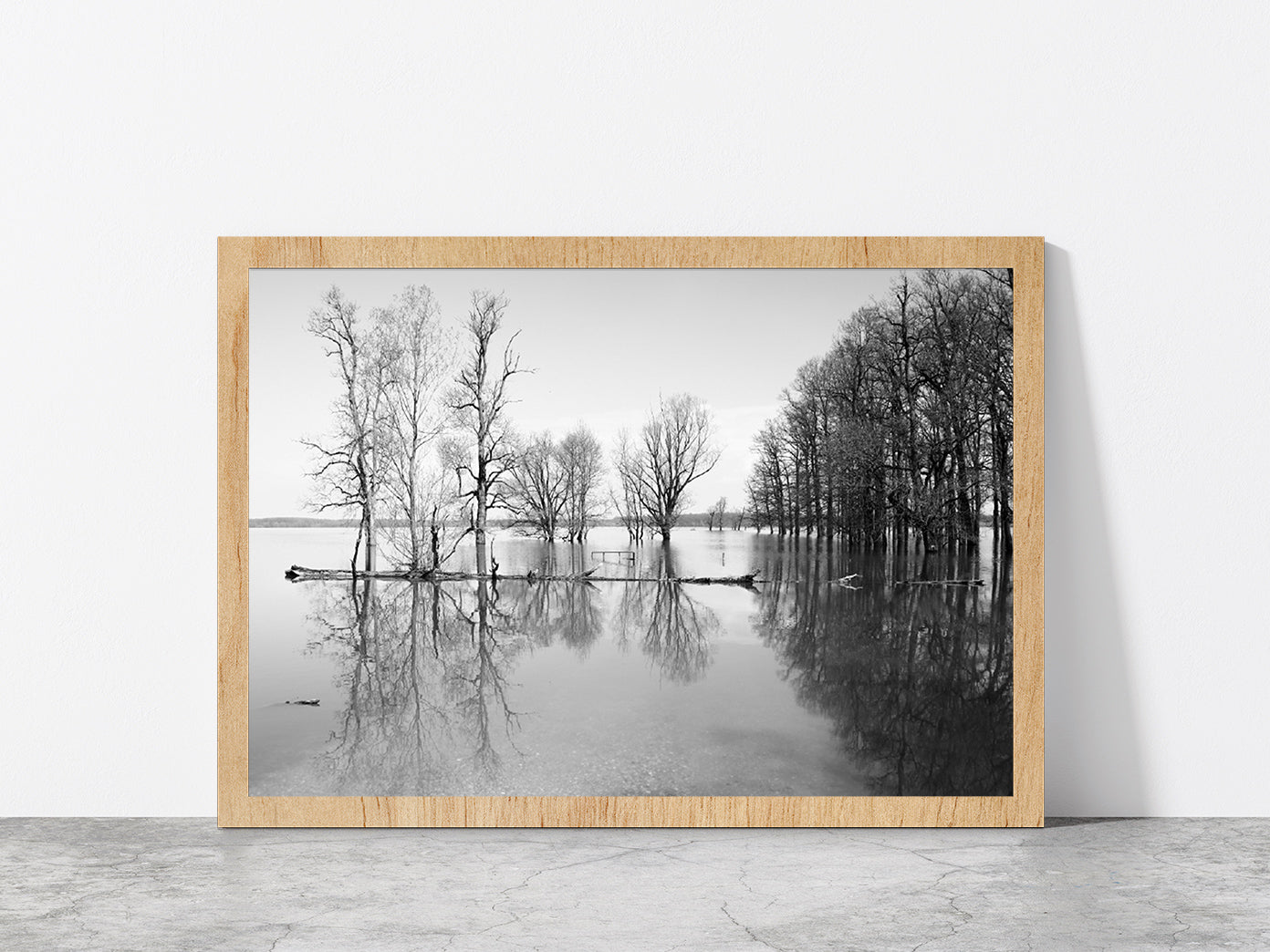 B&W Landscape Flood In Forest Glass Framed Wall Art, Ready to Hang Quality Print Without White Border Oak