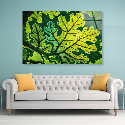 Close-Up Photo of A Green Leaf Acrylic Glass Print Tempered Glass Wall Art 100% Made in Australia Ready to Hang